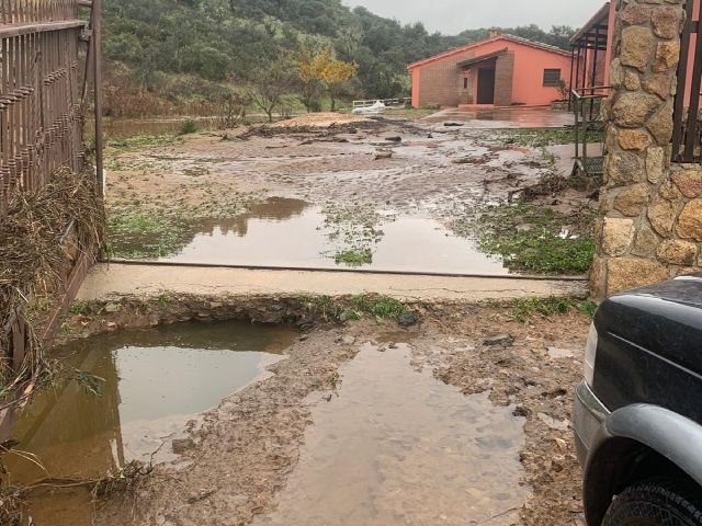 daños materiales (7)